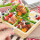 50 Pieces Fruit Forks Dessert Biscuit Picks Kitchen Toothpicks 2