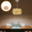 10pcs clear pastry boxes, bakery packaging for cakes, egg-yolk 6