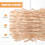 10pcs clear pastry boxes, bakery packaging for cakes, egg-yolk 9
