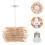 10pcs clear pastry boxes, bakery packaging for cakes, egg-yolk 4