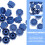 50Pcs Blue Reusable Syringe Tip Caps for Luer Lock Protection 8