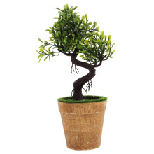3 stk. künstlicher Bonsai Baum, für Schreibtisch & TV-Schrank