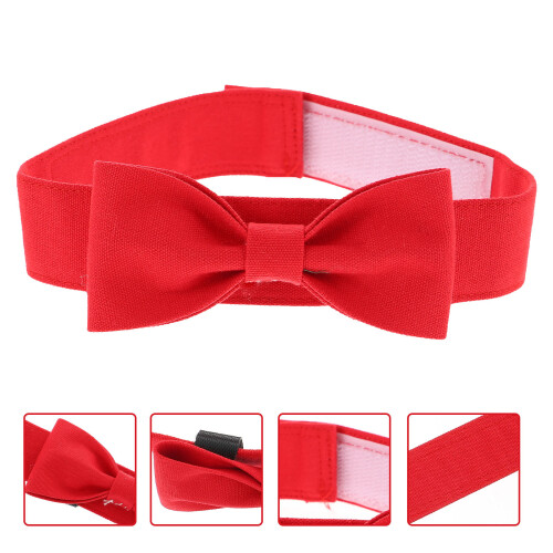 dekoratives Hundehalsband mit Fliege – Pet Accessoire 2