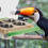 1 vogelfutter-box für papageien mit stab und spiegel 11