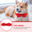 dekoratives Hundehalsband mit Fliege – Pet Accessoire 8