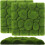 12 Pcs Simulation Moss Foams Board Wall Decoration 1