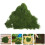 4Pièces Mousse Décorative Nylon Pour Terrariums 11