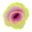 Simulation Korallen Dekoration Fluoreszierende 3