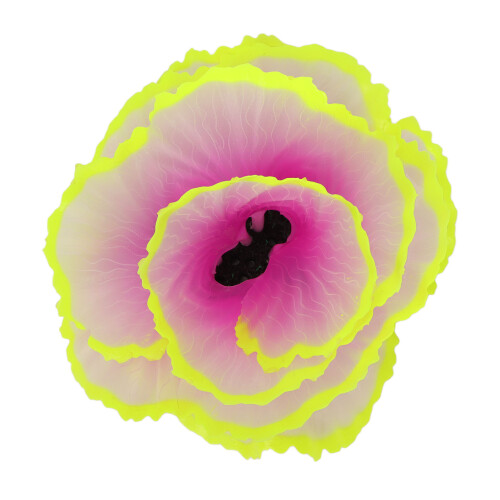 Simulation Korallen Dekoration Fluoreszierende 2