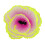 Simulation Korallen Dekoration Fluoreszierende 2