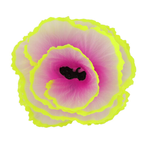 Simulation Korallen Dekoration Fluoreszierende 1