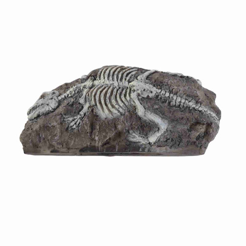 Aquarium Dinosaurier Reliquiae Dekoration Reptil 1
