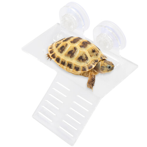 piattaforma galleggiante per tartarughe turtle dock con ventose bianca