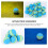 25Pcs Blue Rainbow Eva Golf Training Balls Safe Soft Practice Supplies 11