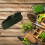 Concha multifuncional com cabo de plástico para solo e plantas bonsai 11
