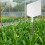 plastic plant label tag creative shape marker for garden diy supply 6