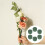 6 unidades - base floral em espuma com alta absorção de água 4