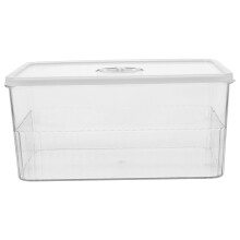 Freezer Aufbewahrungsboxen Pet Transparent 1 Stk 9,4 X 6,3 X 4,5 Zoll