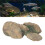 Aquarium Landschaft Stein Ornament Simulation Harz 12