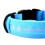LED-Hundehalsband, modisch, sicher, über USB 7