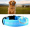 LED-Hundehalsband, modisch, sicher, über USB 12