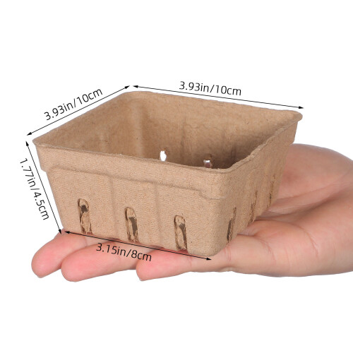 50 papier-beerentablett aus pappmache für 1