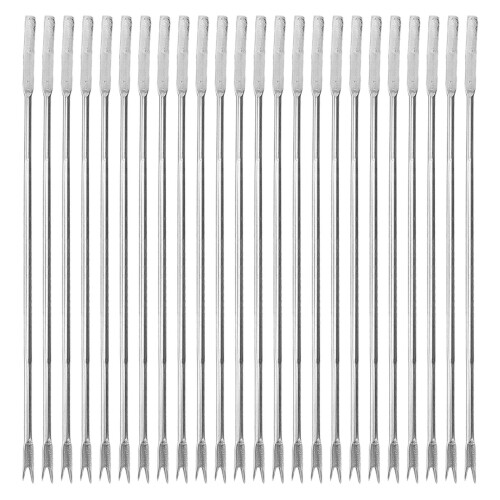 24pcs Multipurpose Walnut Needles Fruit Fork Seafood Peeling Tools