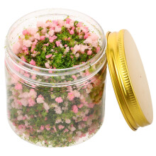 5Pcs Miniature Plants for Dollhouse Craft Model Landscape