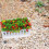 3 Pezzi Fioriere Miniatura Per Piante E Paesaggio 4