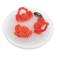Faux En Plastique Pour Décoration Cuisine Colorée