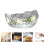 salad storage bowl fruit container multi function dessert bowl 7