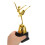 Ce Trophy Award Golden Plastic Elegant Design For Events 4