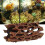 Aquarium Hohlen Baum Stamm Simulation Dekorative 11