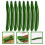 24 Pcs Artificial Cucumber Display Props 10