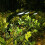 2 6000k solar-led- für garten, 2