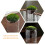 2 pcs moss bottle micro landscape diy glass miniature decor 9