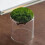 2 pcs moss bottle micro landscape diy glass miniature decor 11