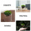 2 pcs moss bottle micro landscape diy glass miniature decor 10