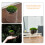 2 pcs moss bottle micro landscape diy glass miniature decor 8