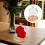 dried flower glass dome with wood base 5