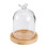 dried flower glass dome with wood base 3