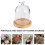 dried flower glass dome with wood base 10
