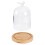 dried flower glass dome with wood base 6