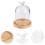 dried flower glass dome with wood base 4