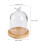 dried flower glass dome with wood base 2