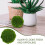 Palla Di Muschio Artificiale Verde 10 Cm Per Decorazione 5