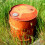 40 pz tappi ermetici 2,3'' e 0,98'' per 200 l 7