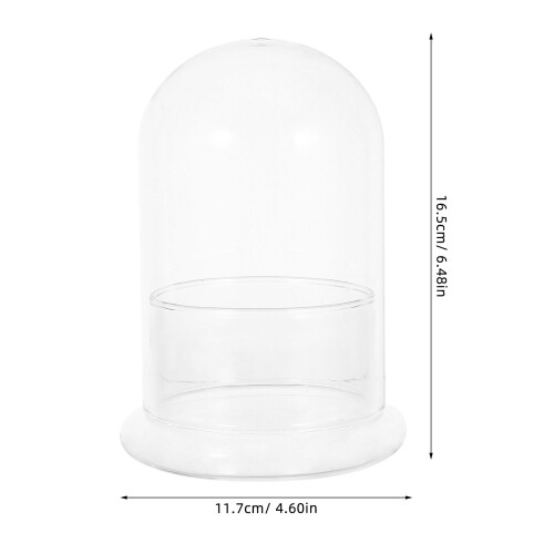 Cupola Per Piante In Vetro Trasparente Per Micro Paesaggio E Muschio 1