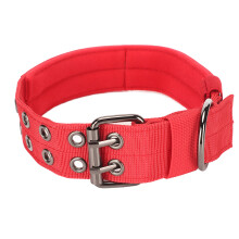 Hundehalsband, leicht, atmungsaktiv, verstellbar,