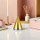 60 pcs metallic paper cone hats with elastic string for birthdays 6